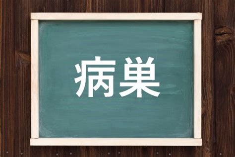 病巢 意味|病巣／病竈（びょうそう）とは？ 意味・読み方・使い方をわか。